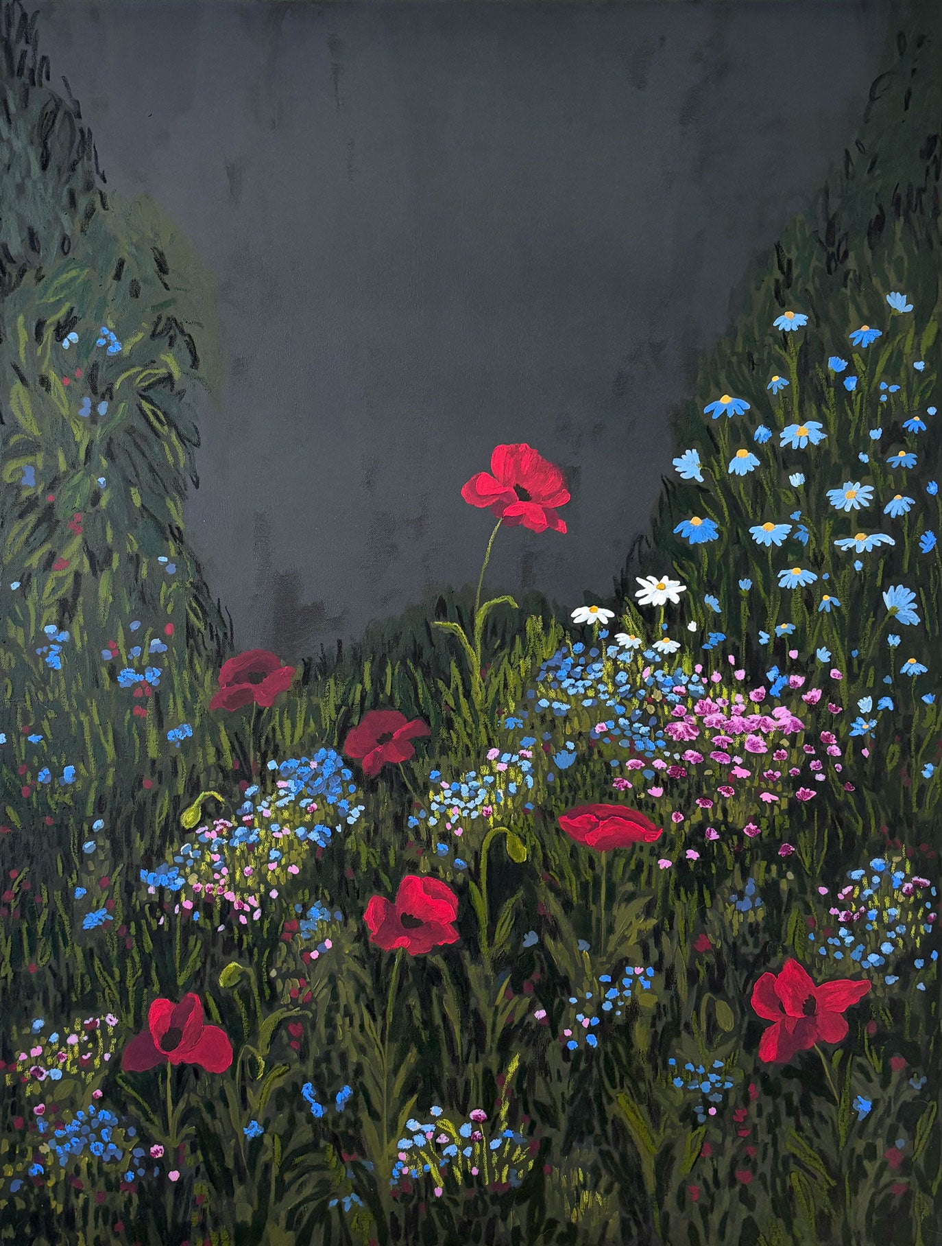 Colours of the Night