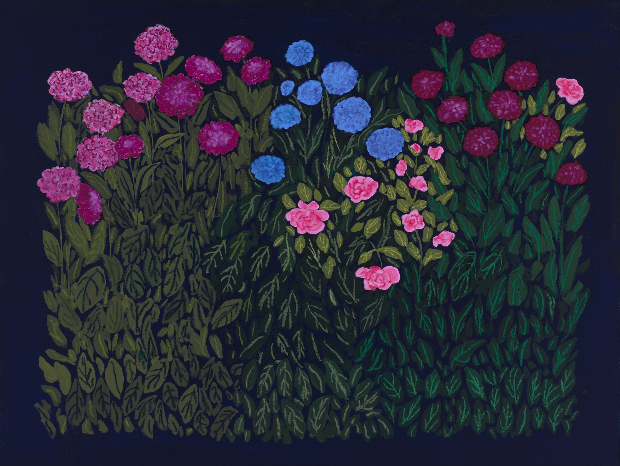Dahlias