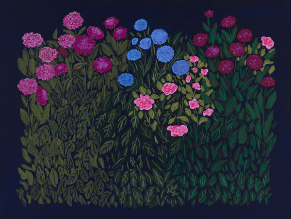 Dahlias