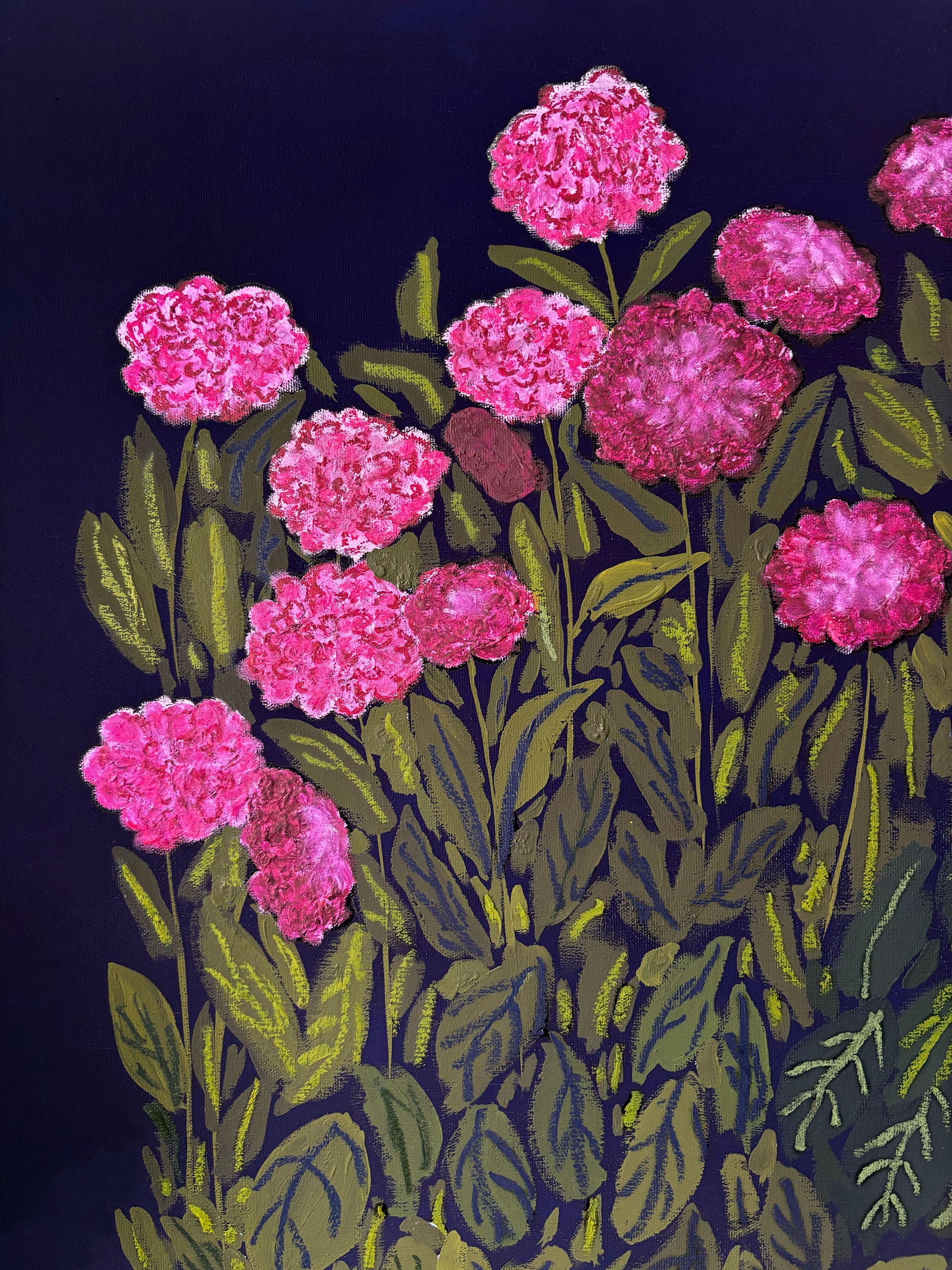 Dahlias