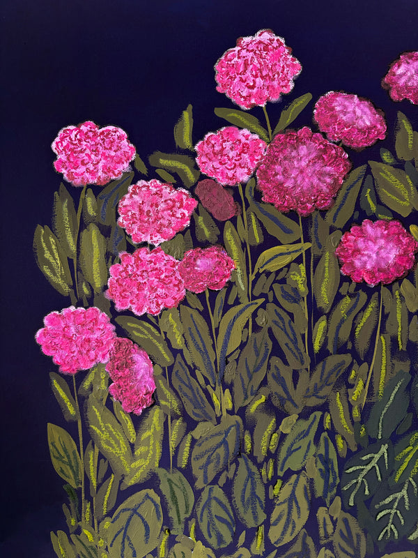 Dahlias