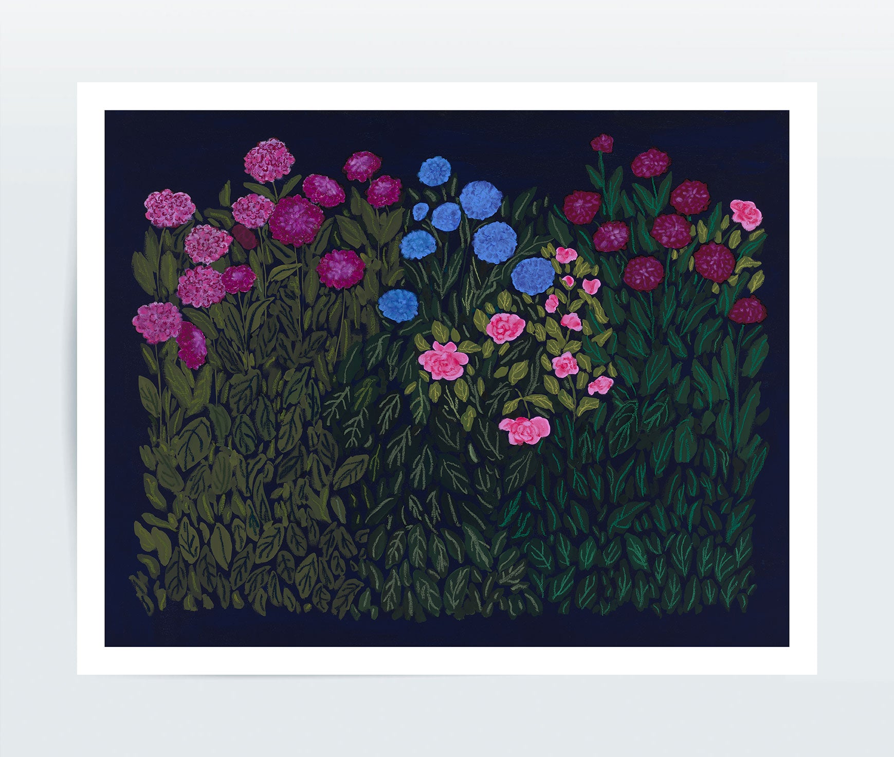 Dahlias