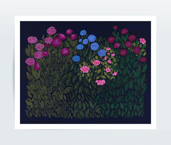 Dahlias