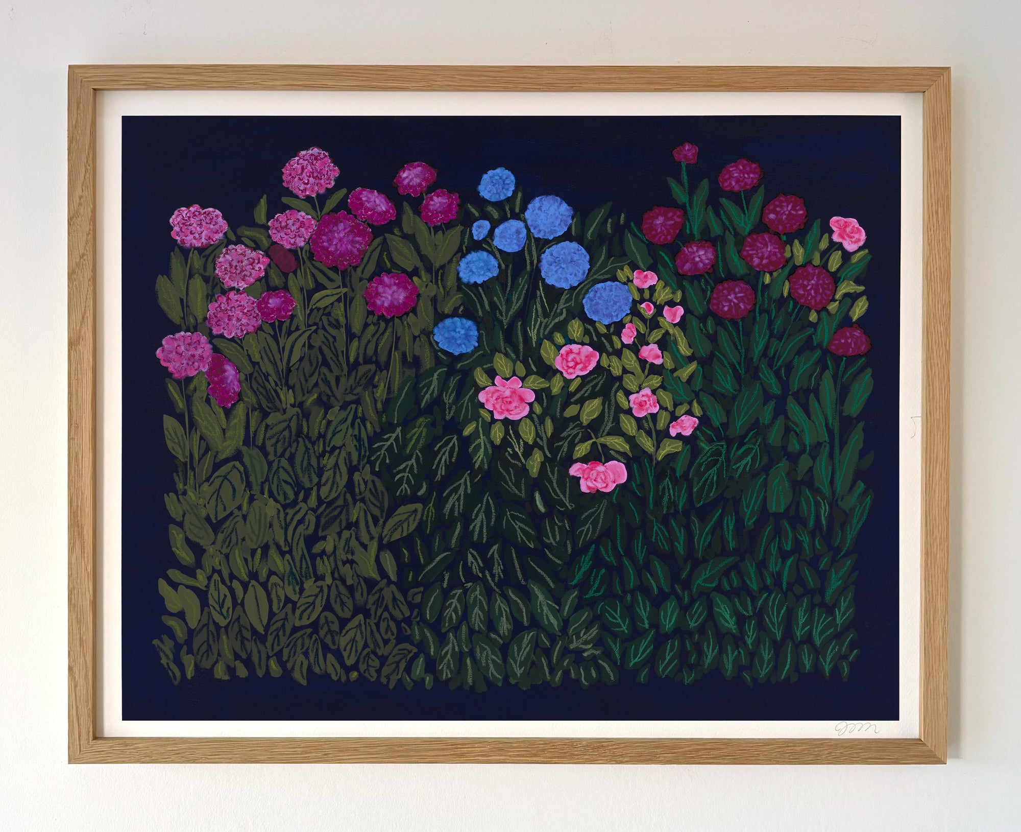 Dahlias