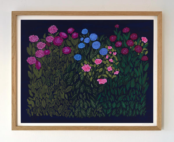Dahlias
