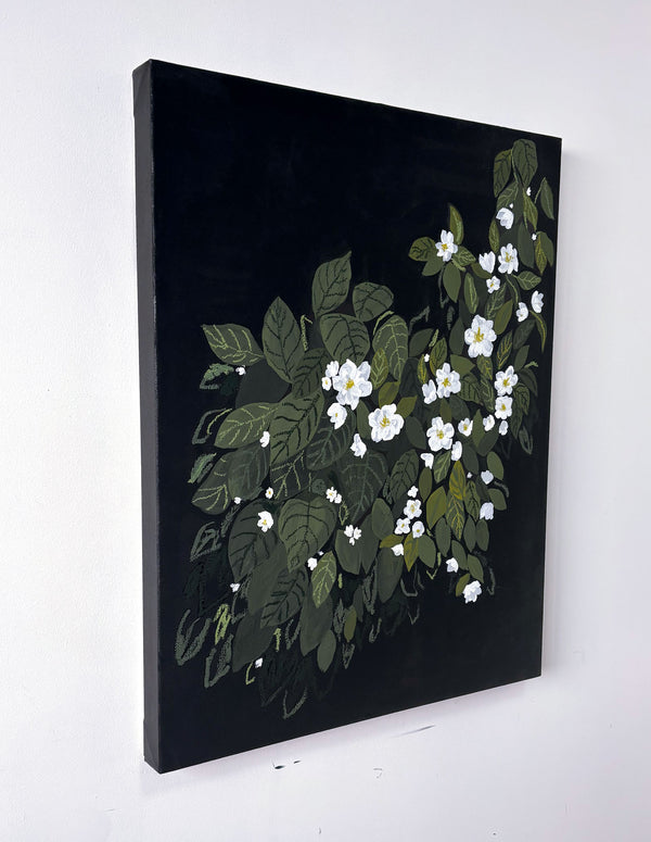 Flower Study